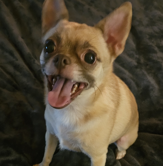 Meet your Posher, Regena - Picture 13 of 16